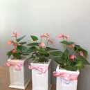 성산구청 이미지