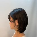 리안헤어 이미지