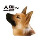 보광센츄어리2 이미지