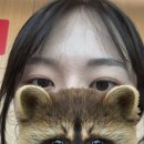 컨벤션자동차 정비센터 | 대전 MSI 2026 직관 후기｜대전컨벤션센터 Q열좌석 시야 주차 주차할인 성심당