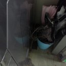 리챠드프로헤어아산