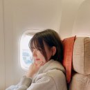 361 | 인천공항 - 상하이 푸동공항 / 설 연휴 아시아나 항공 탑승 후기 OZ361