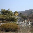 와우정사 이미지
