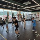 복싱대장 이미지