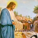 마르띠노 이미지