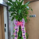 대치동과학 선릉역과학학원 추천하는곳! 이진희과학전문학원 대치점 등록후기