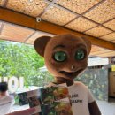 포레스트안경 이미지