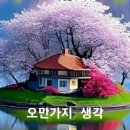 오만가지 이미지