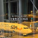 디디워쉬 | 중국 칭다오 여행 산동항공 SC4620 연착 웹체크인 불가 입국 신고서 날씨 정보