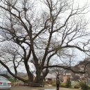 내추마을회관 이미지