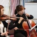 충청남도 태안군청 이미지