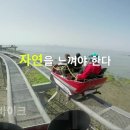 박보령