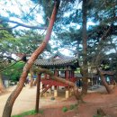 의림지-07 이미지