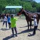 속사초등학교 이미지