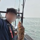 군산배낚시 추천/ 아이리스2호 3시간 체험 솔직후기_ 장자도 체험낚시 초보자도 잡을 수 있어요