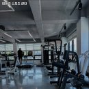 데일리 스포츠 센터 이미지