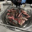 강앤김