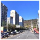 진해탑약국 이미지