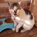 반딧불 동물병원 이미지