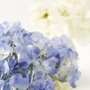 동명당한의원 이미지