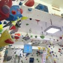 망마로 | 여수 클라이밍 짐, 아이도 즐거운 실내암벽 체험