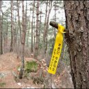 황석산 청소년 수련원 이미지