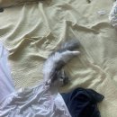 상민광고기획