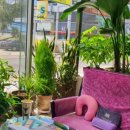 금송안경콘택트 이미지