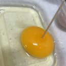 자연농장 | 난각1번 유정란 추천｜상황버섯 사료 먹은 자연방사 직영농장 계란 후기