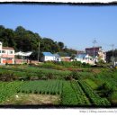 추어마을 이미지