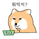 유림갈비 이미지