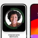 애플아일랜드 이미지