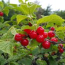 동물왕국 이미지