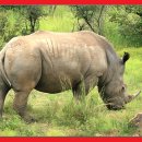 신원덴탈(주) 이미지