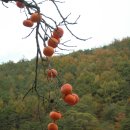 감ː따