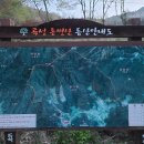 곡성-186 티스토리