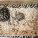 늘품자연유치원 이미지