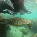 미선미식당 | 교환 마지막 블로그(1)