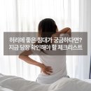 다원유통예산점 | 허리 아픈데 좋은 침대 매트리스 선택이 중요한 이유와 추천 브랜드 살펴보기
