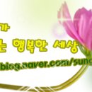 일조양만