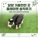 플레이펫 | [담양 동물체험] 플레이펫 내돈내산 방문 솔직 후기(입장료, 먹이 체험, 위생상태)