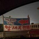 금마 | 11월 가을 대하 안녕하새우🦐 [익산 금마 왕새우] 포장 후기