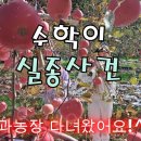 수학이 실종사건 - 4 이미지