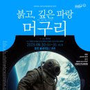머구리 강원도민일보