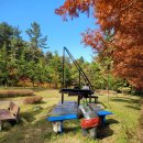 【윤승원 영상 수필】 『피아노 치는 여인』을 바라보며 이미지