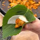 호아퐁방학본점 | [방학역] 방학동 도깨비시장 맛집! 닭갈비 맛집! ‘오늘도 닭갈비 본점’ 후기