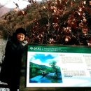 주왕산시외버스터미널 이미지