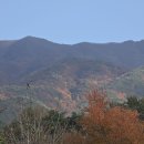 11월20일 (목) 충방출석부 이미지
