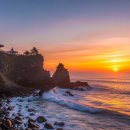 돌산읍사무소 | 여수 향일암 바다 절벽 위에서 맞이하는 해맞이 명소 완전정리