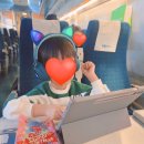 로켓고양이 | [내돈내산] 기차 덕후 아이와 KTX 부산 여행, 로켓배송이 살린 '고양이 귀 헤드셋' 사용 후기